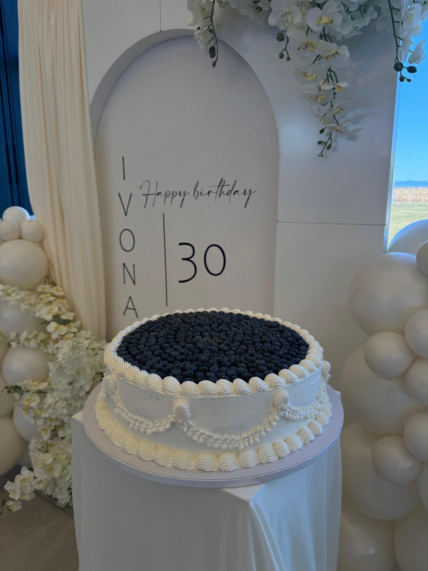 Bijela rođendanska torta prekrivena borovnicama